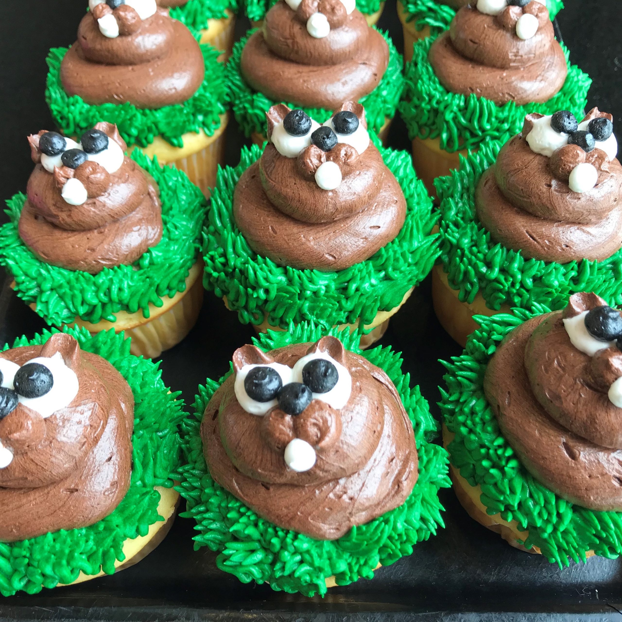 https://oakmontbakery.com/wp-content/uploads/2020/06/groundhog-cupcakes-oakmont-phil-scaled.jpg