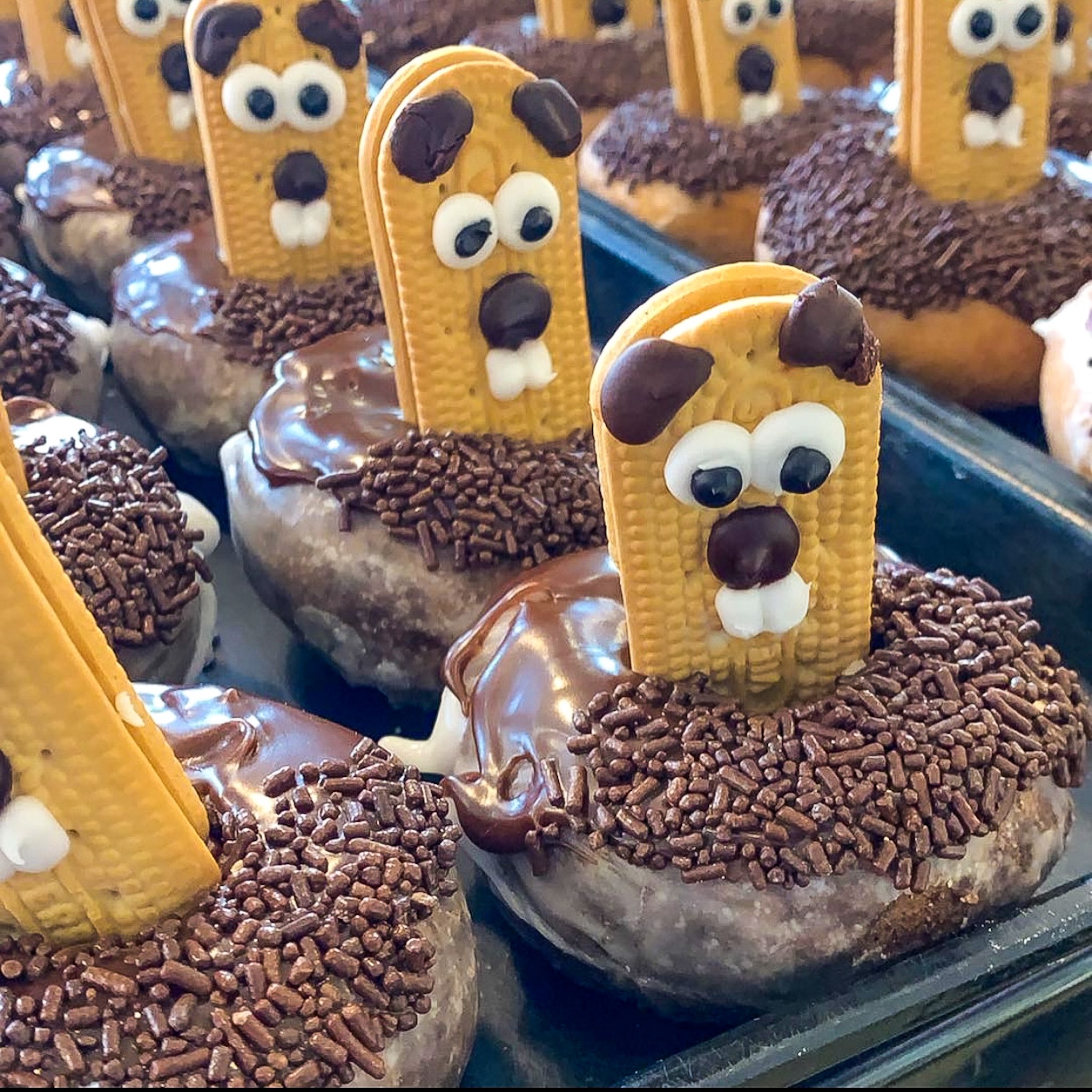 Groundhog Donuts6 Pack - We Create Delicious Memories - Oakmont Bakery